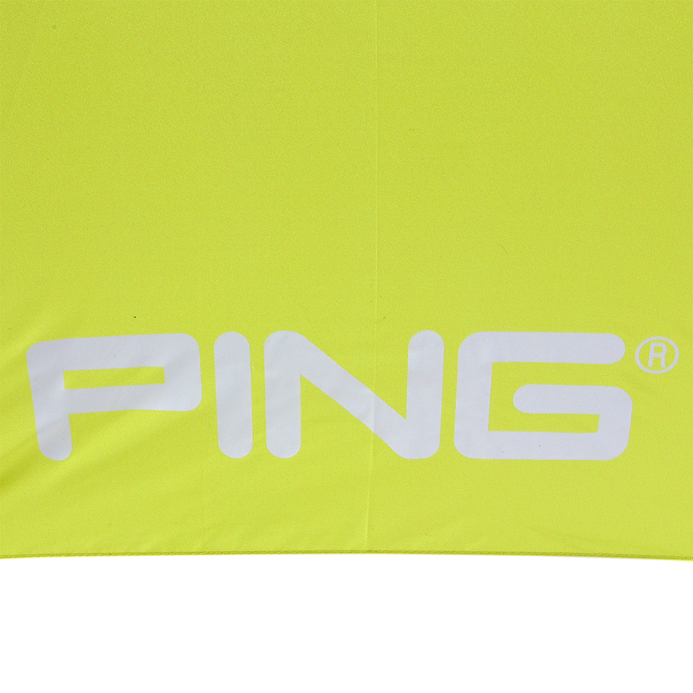 PING-7.jpg