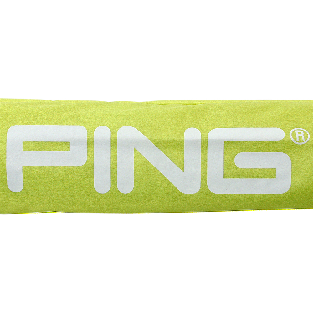 PING-2.jpg